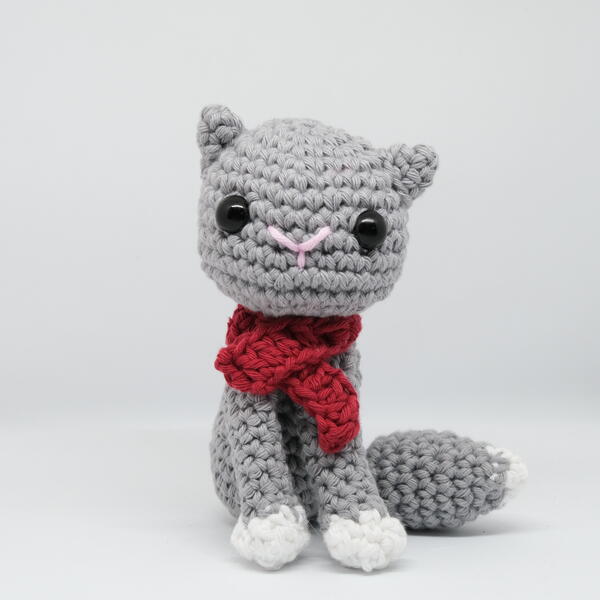 Lilly The Cat Lilly The Cat