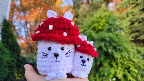 Mushroom Cuties Mushroom Cuties