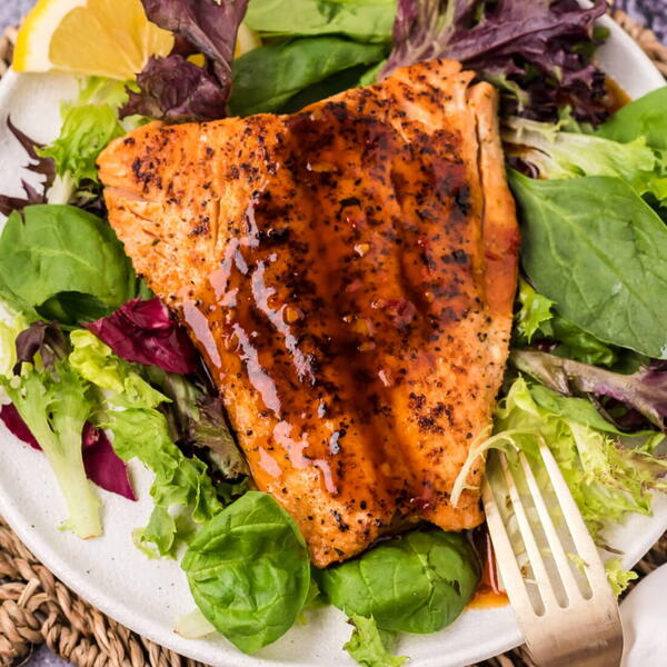 Salmon Sauce Salmon Sauce