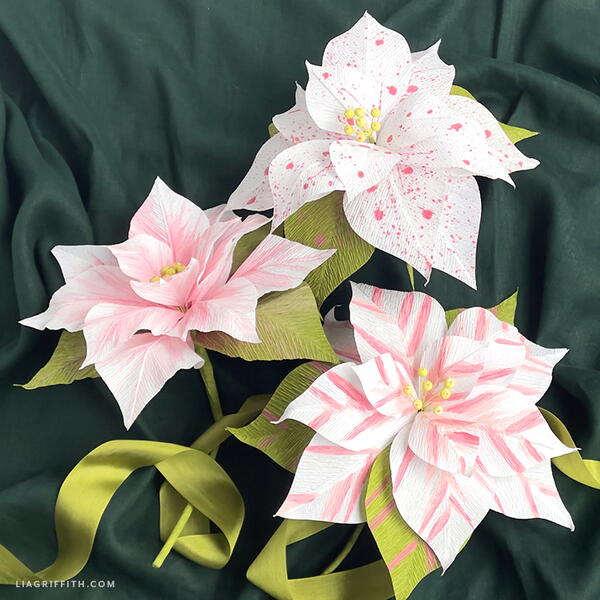 Painted Crepe Paper Poinsettias Painted Crepe Paper Poinsettias