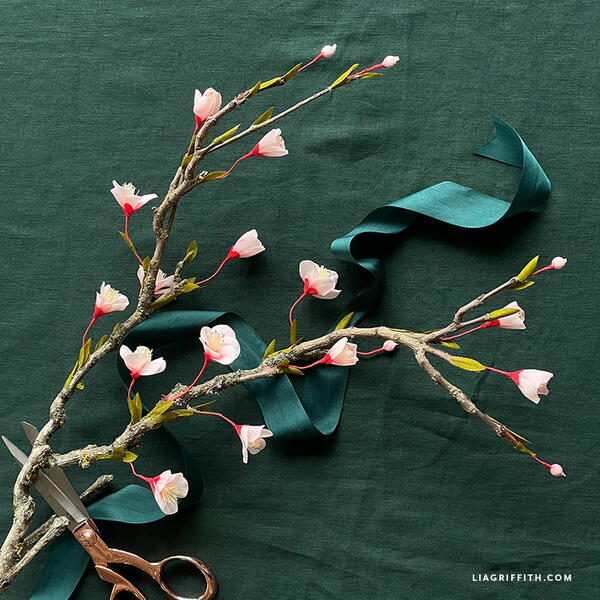 Blooming Quince Branch Blooming Quince Branch