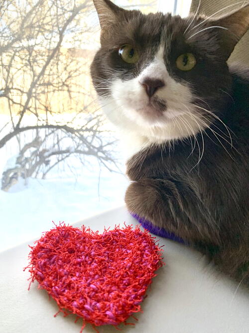 Heart Scrubby Heart Scrubby