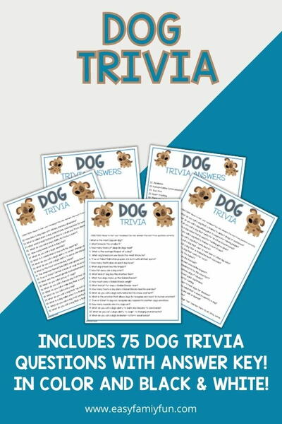 The Best Dog Trivia Questions With Answers The Best Dog Trivia Questions With Answers