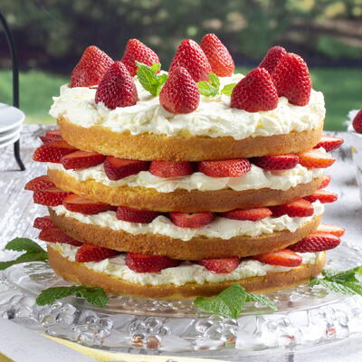 Florida Strawberry Lemon Torte