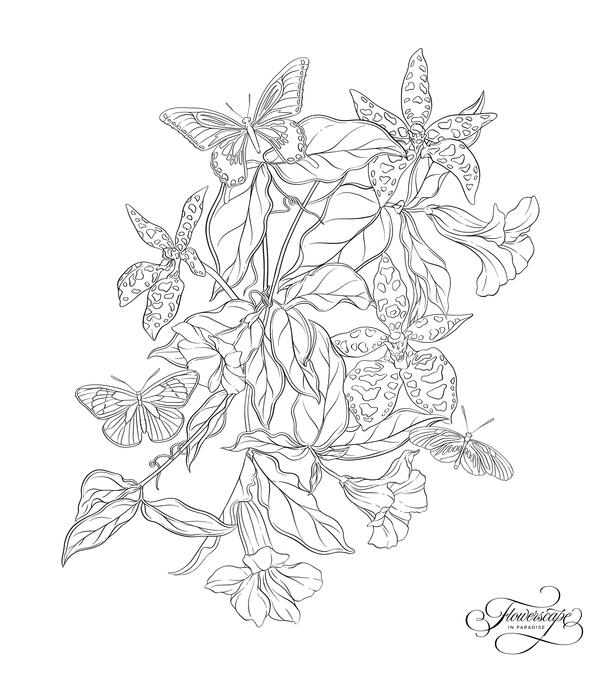 Trumpet Vine Trumpet Vine