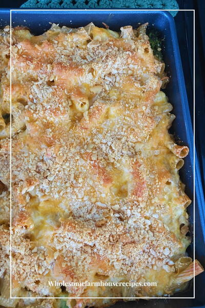 Chicken And Pasta Casserole With Vegetables Chicken And Pasta Casserole With Vegetables