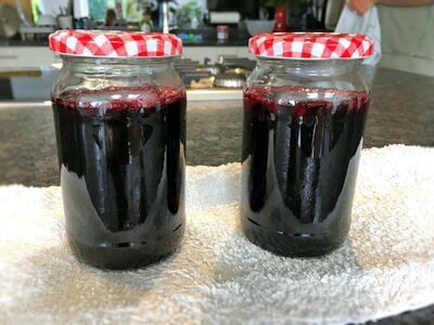 Old-Fashioned Blackberry Jelly