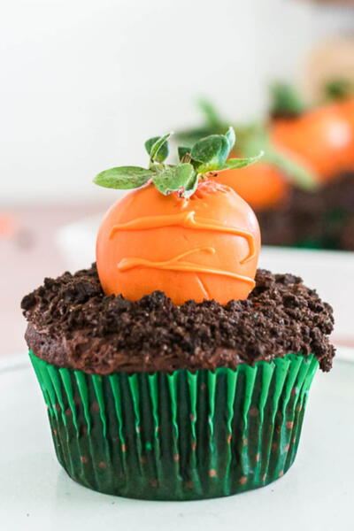 Carrot Patch Cupcakes