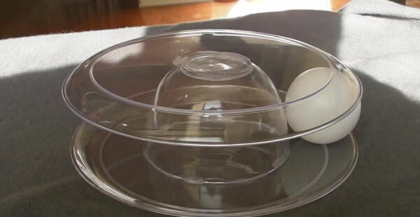 Cat Chase Ball Track Cat Chase Ball Track