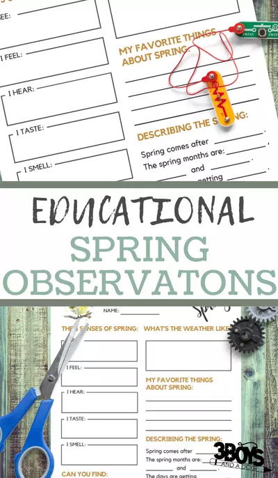 Spring Observations Worksheets Spring Observations Worksheets