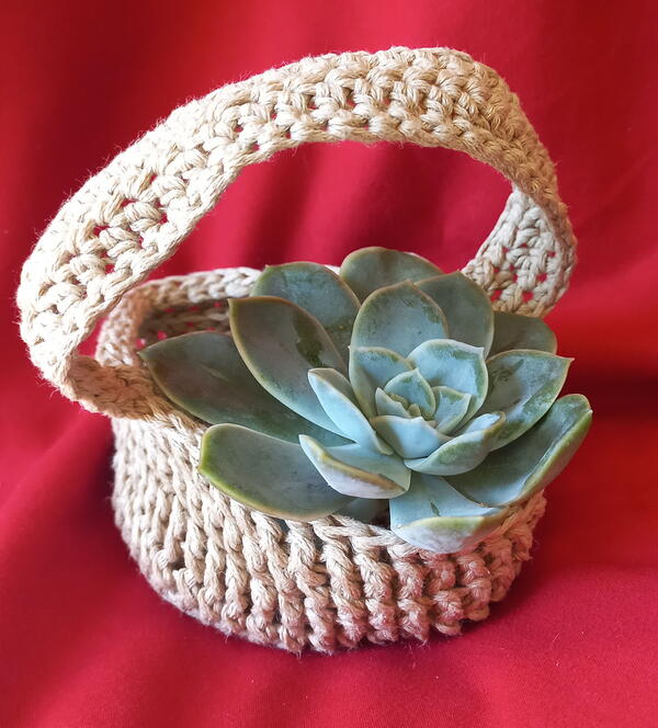 Quick One Color Mini Basket Quick One Color Mini Basket