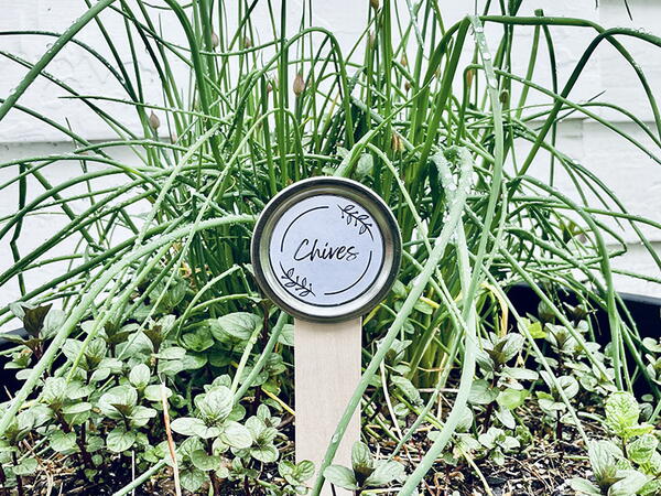 Diy Plant Markers With Mason Jar Lids Diy Plant Markers With Mason Jar Lids