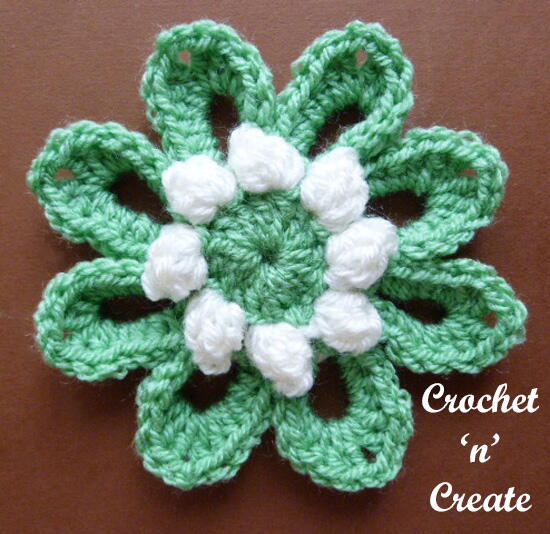 Popcorn Flower Popcorn Flower