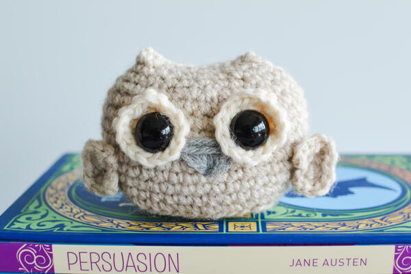 Olive The Owl Olive The Owl