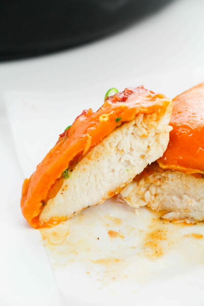 Salsa Chicken Salsa Chicken