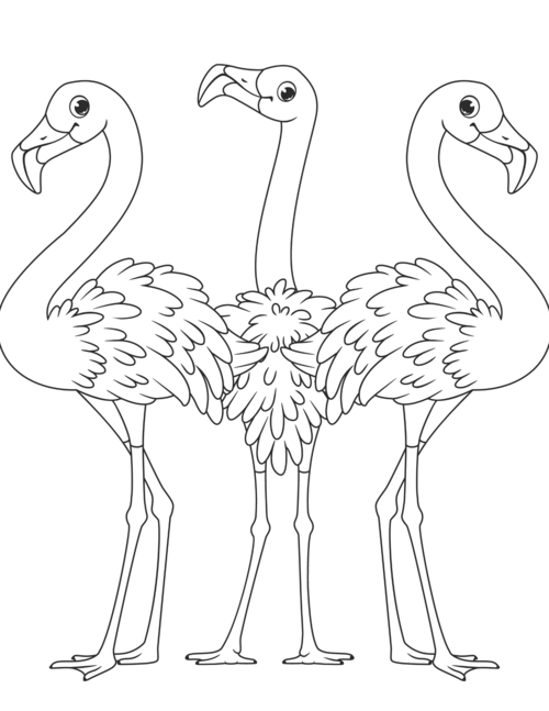 Free Flamingo Coloring Pages Free Flamingo Coloring Pages