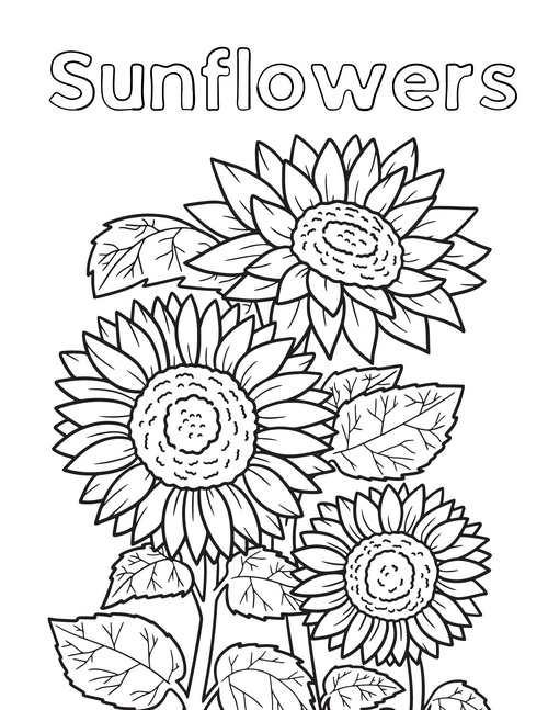 Free Sunflower Coloring Pages For Adults And Kids Free Sunflower Coloring Pages For Adults And Kids