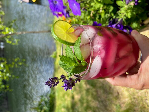 Blueberry Lavender Mojito Recipe Blueberry Lavender Mojito Recipe