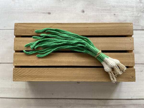Green Onion Amigurumi Crochet Pattern Green Onion Amigurumi Crochet Pattern