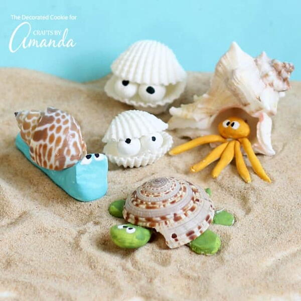 Sea Shell Creatures Sea Shell Creatures