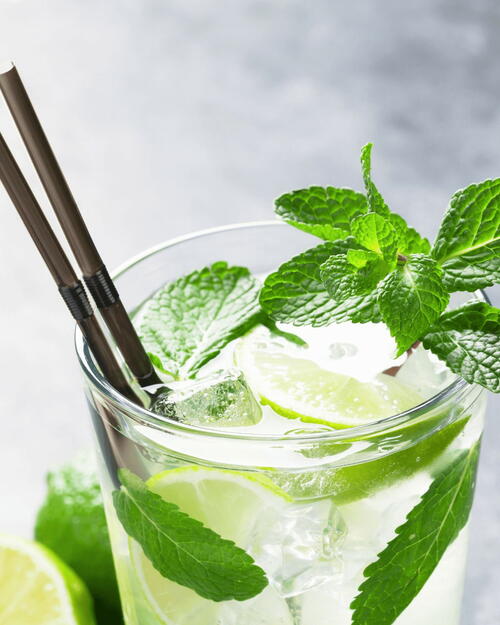 Cuban Bacardi Mojito Cuban Bacardi Mojito
