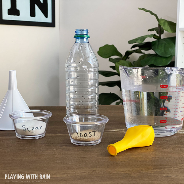 Discover The Magic Of Yeast With The Amazing Balloon Experiment Discover The Magic Of Yeast With The Amazing Balloon Experiment