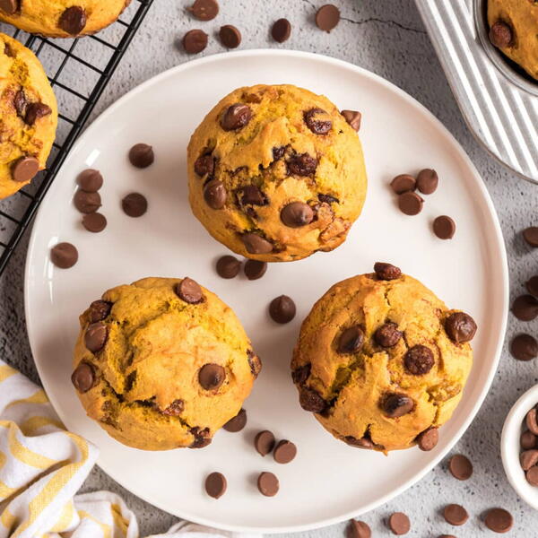 Chocolate Chip Pumpkin Muffins Chocolate Chip Pumpkin Muffins