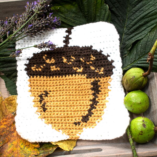 Acorn Square Acorn Square