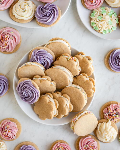 Homemade Sugar Cookies And The Best Frosting Homemade Sugar Cookies And The Best Frosting!