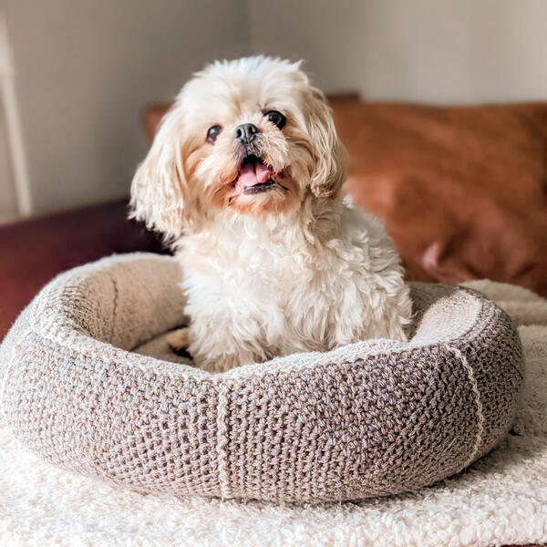 Modern Crochet Dog Bed Modern Crochet Dog Bed