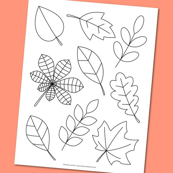 Printable Fall Leaves Coloring Page Printable Fall Leaves Coloring Page