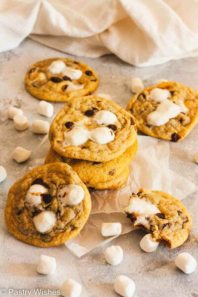 Chocolate Chip Marshmallow Cookies Chocolate Chip Marshmallow Cookies