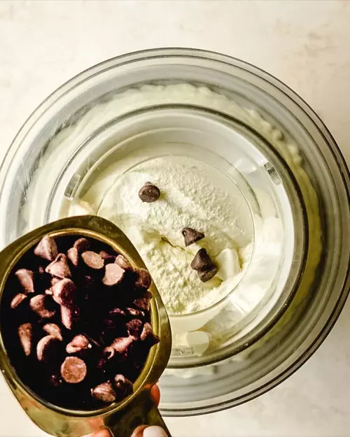 Creamy Vanilla Malted Ice Cream With Chocolate Chips Creamy Vanilla Malted Ice Cream With Chocolate Chips