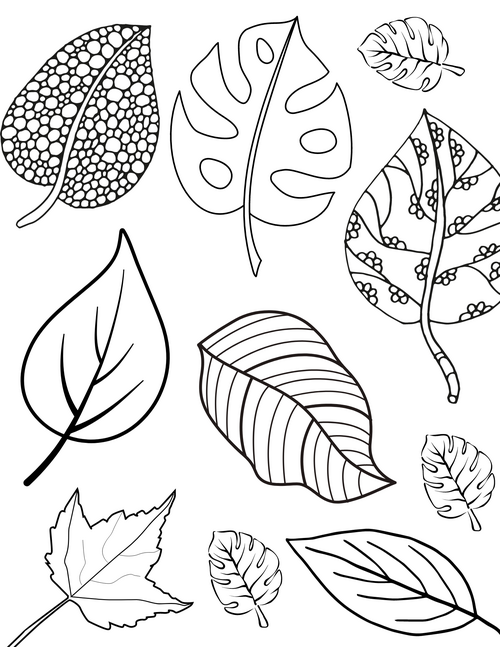 Fun Fall Leaves Coloring Pages For Kids And Adults Fun Fall Leaves Coloring Pages For Kids And Adults