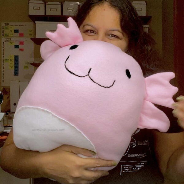 Diy Plushie Diy Plushie