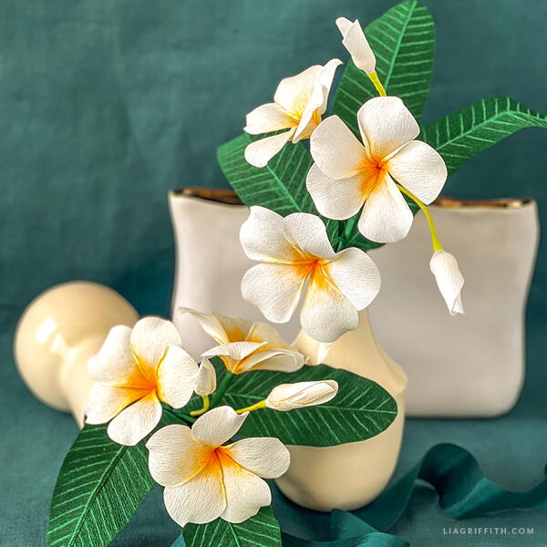 Crepe Paper Plumeria Flower frangipani Crepe Paper Plumeria Flower (frangipani)