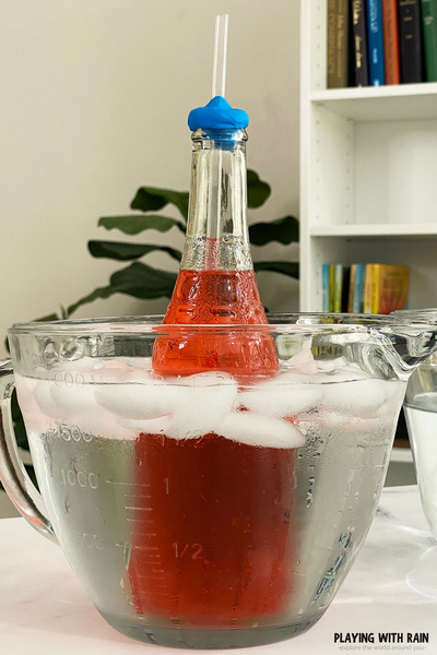 Diy Bottle Thermometer Measure Temperature Fun Diy Bottle Thermometer: Measure Temperature Fun!