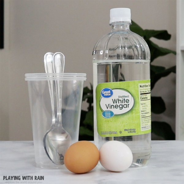 Egg-citing Bouncing Fun Try This Science Experiment Egg-citing Bouncing Fun: Try This Science Experiment!