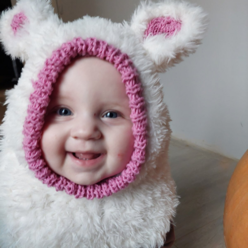 Derry Baclava With Ears Derry Baclava With Ears