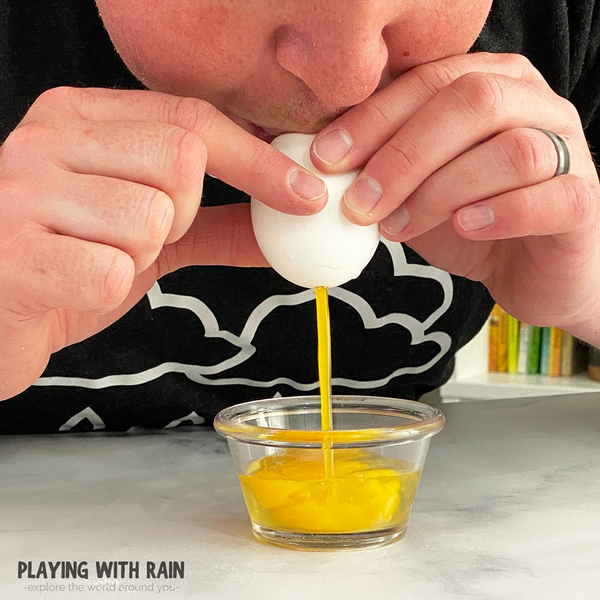 Eggshell Science Fun Flexible Egg Experiment Eggshell Science Fun: Flexible Egg Experiment