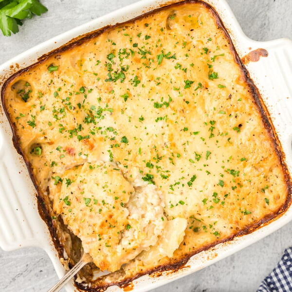 Scalloped Potatoes Scalloped Potatoes