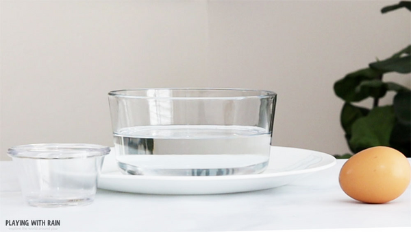 Egg-citing Spinning Science Experiment For Kids Egg-citing Spinning Science Experiment For Kids!