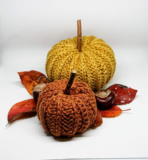 Pumpkins From The Patch Pumpkins From The Patch