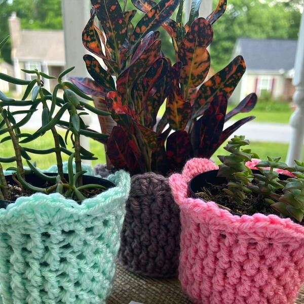 Cozy Alpine Plant Pot Cover Cozy Alpine Plant Pot Cover