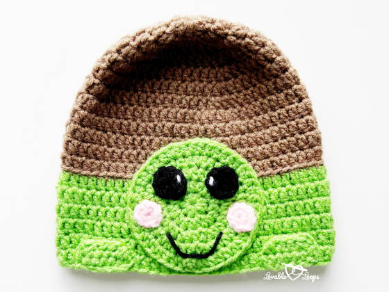 Turtle Hat Turtle Hat