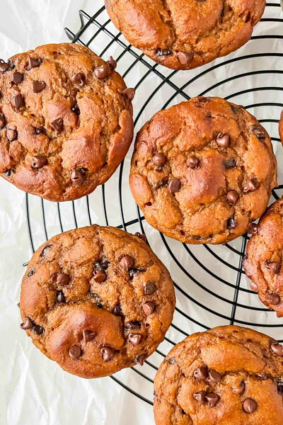 Protein Pumpkin Muffins Protein Pumpkin Muffins