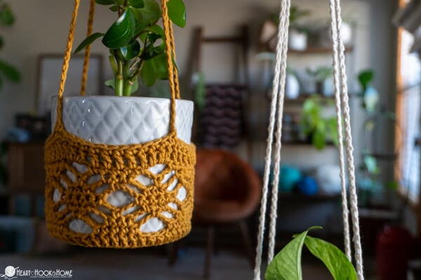 Plant Hanger Plant Hanger