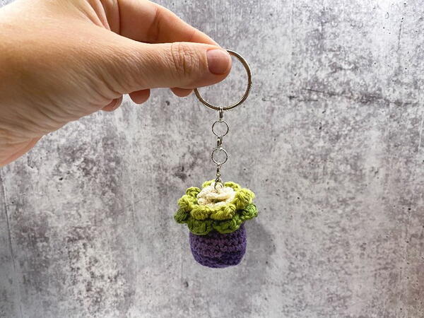 Mini Crochet Succulent Mini Crochet Succulent