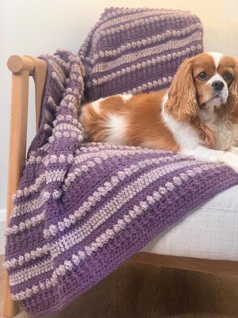 Popalicious Blanket Popalicious Blanket