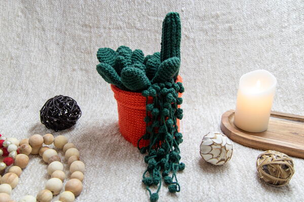 Succulent Toilet Paper Cover Succulent Toilet Paper Cover